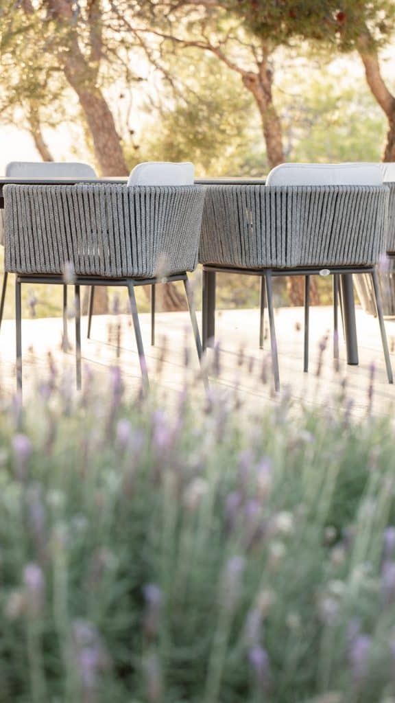 24157-Dining-Armchair-Boston-Strap-Light-Grey-Skyline-Design-03